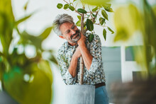 Businessman Embracing Plant At Office