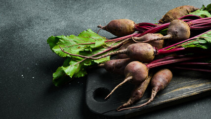 Wall Mural - Beet, beetroot bunch, on a dark background, close-up, top view.