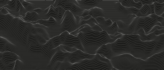 Poster - Abstract background with distorted line shapes on a black background. Monochrome sound line waves.