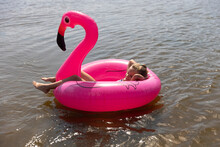 Child Girl In Swimming Suit  Floats On Flamingo Shaped Inflatable Ring In The River In Summer