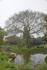 Wall Mural - Beautiful lake in Sundar nursery , Delhi