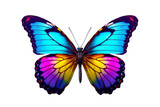 Fototapeta Motyle - A beautiful, colorful butterfly isolated on a white background, Generative Ai