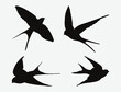 © Metavector  - Graceful Swallow Silhouettes, A Comprehensive Set of Avian Flight and Elegance Illustrations