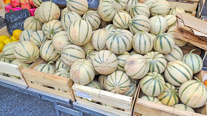 Wall Mural - étal de melons sur un marché