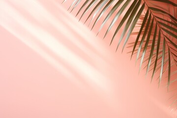 Wall Mural - Pink background with palm leaf and soft sunny shadow. Empty wall with copy space mockup concept