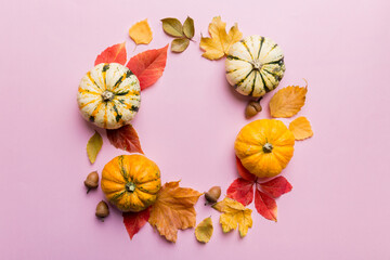 Wall Mural - autumn composition pumpkins with fall leaves over coloredbackground. top view with copy space