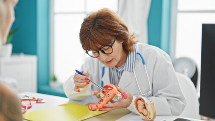 Wall Mural - Middle age woman doctor and patient holding anatomical model of uterus speaking at clinic