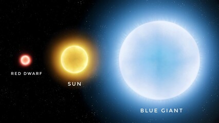 Wall Mural - Comparison of blue giant, sun and red dwarf. Stars of different types and sizes on a black background. Stellar color temperature.