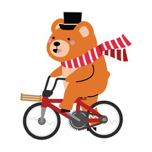 Bear Riding A Bicycle  Vector
