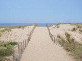 Fototapeta  - A small sand path goes through the sand dunes with the Atlantic Ocean in the background. June 2023, Cap Ferret, France.