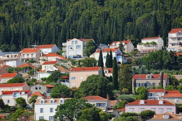 Wall Mural - Houses in Dubrovnik, Croatia