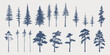 Set of hand drawn vector silhouettes of pine trees. Forest. Vintage trees. Monochrome. Isolared vector trees.