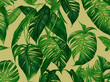 Fondo textura con hojas verdes. Vista de frente y de cerca. IA Generativa