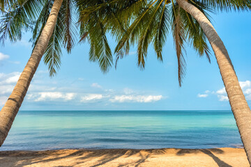 Wall Mural - Tropical paradise sandy beach with palms and calm clear turquoise sea water. View on horizon. Relax on exotic Koh Tao island. Copy space