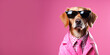 lustiger Hund im pinkfarbenen Business outfit