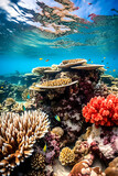 Fototapeta Do akwarium - Great Barrier Reef 17