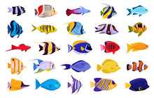 Cartoon Tropical Fish. Exotic Aquarium Fishes, Emperor Angelfish, Sweetlips, Moorish Idol, Koran Angelfish, Blue-cheek Butterflyfish Flat Vector Illustration Set. Saltwater Fish Collection