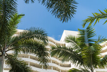 Beautiful Tropical Cityscape With Modern Architecture And Palm Trees View Looking Up.	