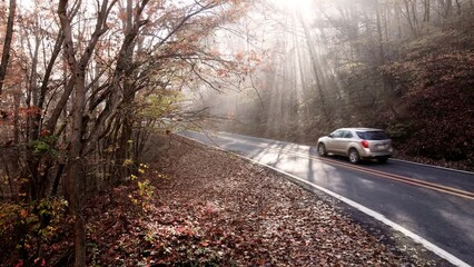 Wall Mural - Cars drive through light rays shining through forest trees in the mountains over a country asphalt winding road