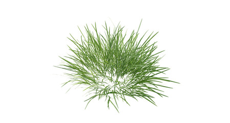 Sticker - Bunches of grass on a transparent background. 3D rendering.	
