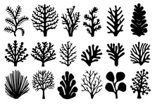 Hand Drawn Set Of Corals And Seaweed Silhouette Isolated On White Background. Vector Icons And Stamp Illustration.