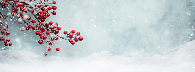 Snow-covered board frame framed by branches with red berries covered in frost. Copy space.