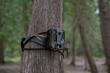 Outdoor wildlife surveillance camera attached to a tree trunk in the forest. Selective focus, blurred background.