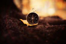 Old Vintage Compass In The Forest With Leaves At The Background.