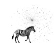 zebra on white made by midjourney