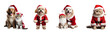 Set of Cats and dogs in red Christmas Santa Claus costume, isolated on white and transparent background, ai generate