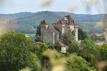 Wall Mural - The castle of Curemonte.