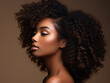 Beautiful and elegant African woman in her 20s with styled long curly black hair. Concept of ethnic haircare & hairstyling. 