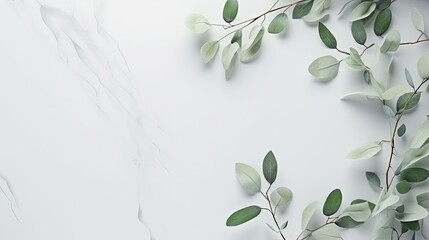 eucalyptus branches on pastel gray background with copy space top view. mockup image