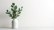 Mockup Of White Table With Green Eucalyptus Leaves In Vase