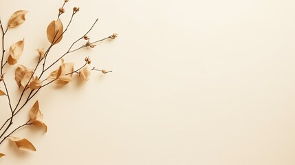 Poster - Flowers and branch on beige background laid flat with space for text mockup