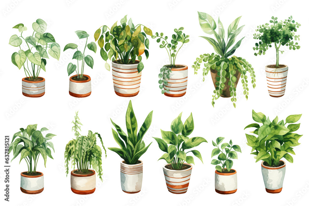 Set of houseplant watercolor style illustrations on clear background ...
