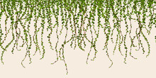 Green Foliage Wall Vector Illustration, Climbing Plant Leaves Seamless Horizontal Pattern