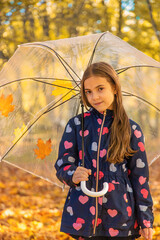 Wall Mural - Autumn child in the park with yellow leaves. Selective focus.