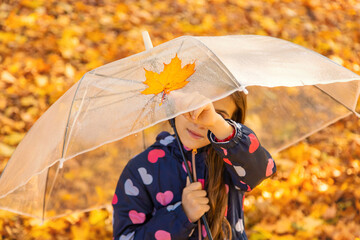 Wall Mural - Autumn child in the park with yellow leaves. Selective focus.