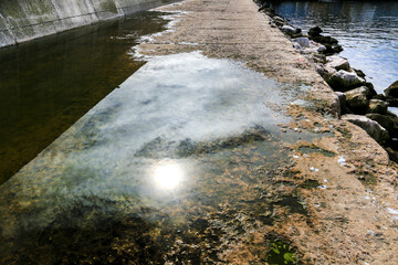 Wall Mural - Reflection of the sun on a puddle in the port of Sagres