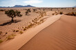 © R.Severac - Désert de dunes au porte du Namib, Sud-Est de la Namibie
