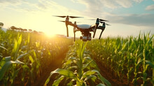 Drone Flying On Corn Plantation Field At Sunrise Background. Digital Technology Smart Farm Concept.