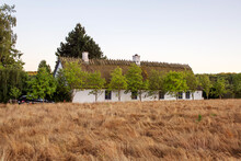 View Of Meadow, House With Thatched Roof In Background