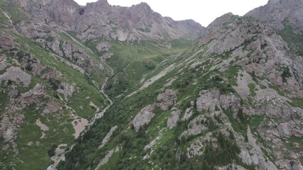 Wall Mural - Drone view of a green gorge with high rocky cliffs. A grey, bubbling river is running. The sky was overcast. Lots of big rocks and coniferous trees. Wildlife of Kazakhstan. Gorges of Burkhan Bulak