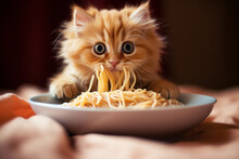Hungry Little Red Kitten Eats Heartily Of Pasta