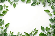 Green Leaves Border Frame On A White Background With Space For Copy