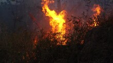 A Fairly Large Fire Has Ignited The Dry Underbrush In The West Surabaya, Indonesia, During The Dry Season. Environment Issue.