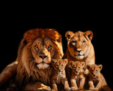 Fototapeta  - lion and lioness isolated