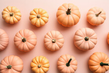 Mix Of Orange And Pink Pumpkins On Pastel Background