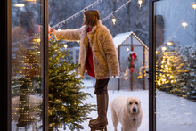 Young Woman Decorates Christmas Tree, Attaching Festive Bow On Top While Standing On Step Ladder At Beautiful Snowy Backyard With Dog, View Through The Window. Preparation For The Winter Holidays